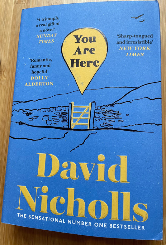 You are here by David Nicholls