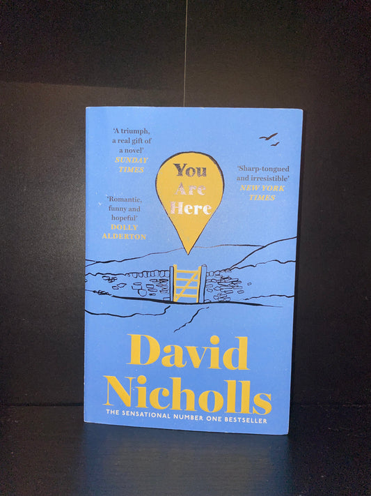 You are here by David Nicholls