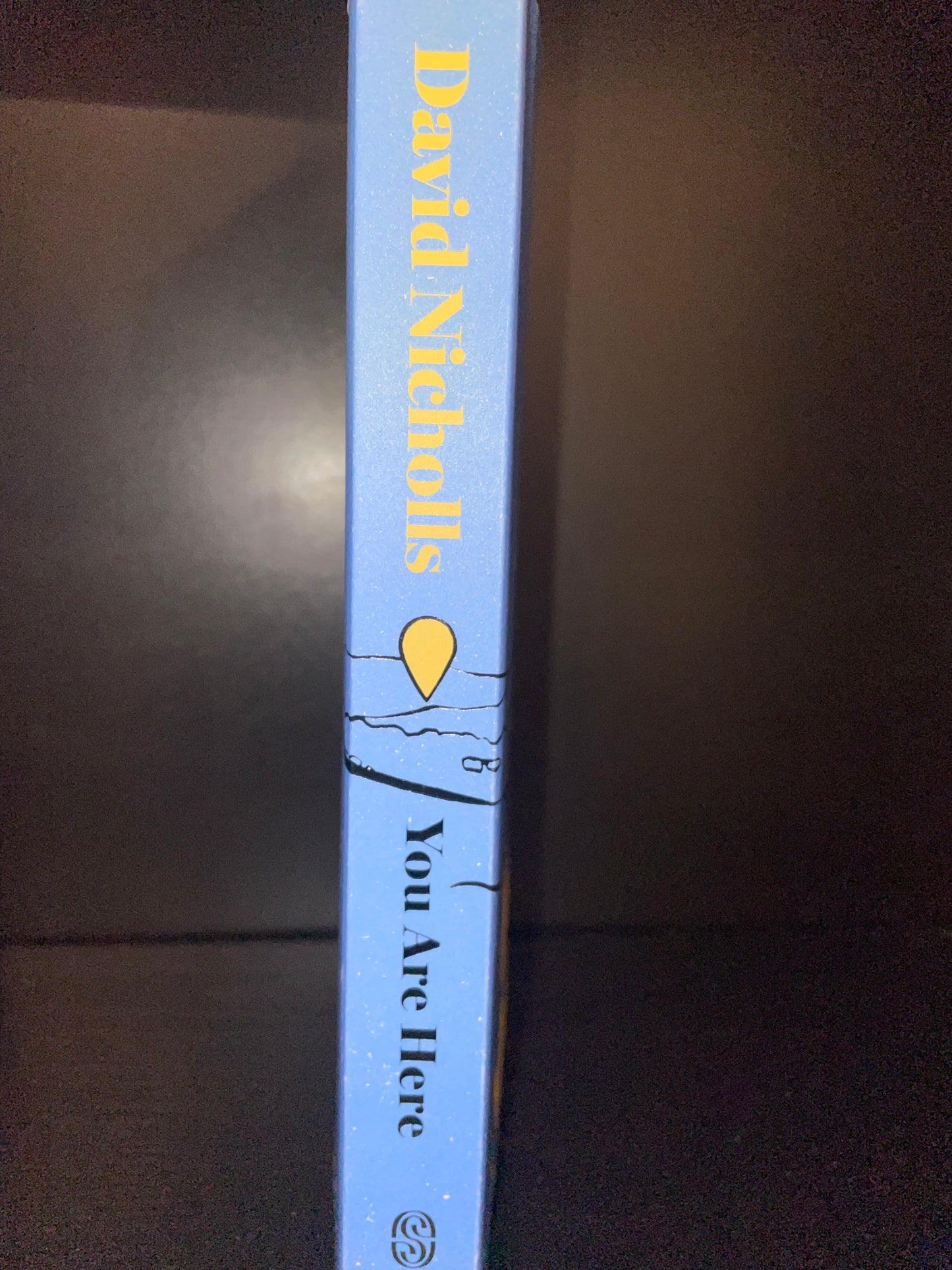 You are here by David Nicholls