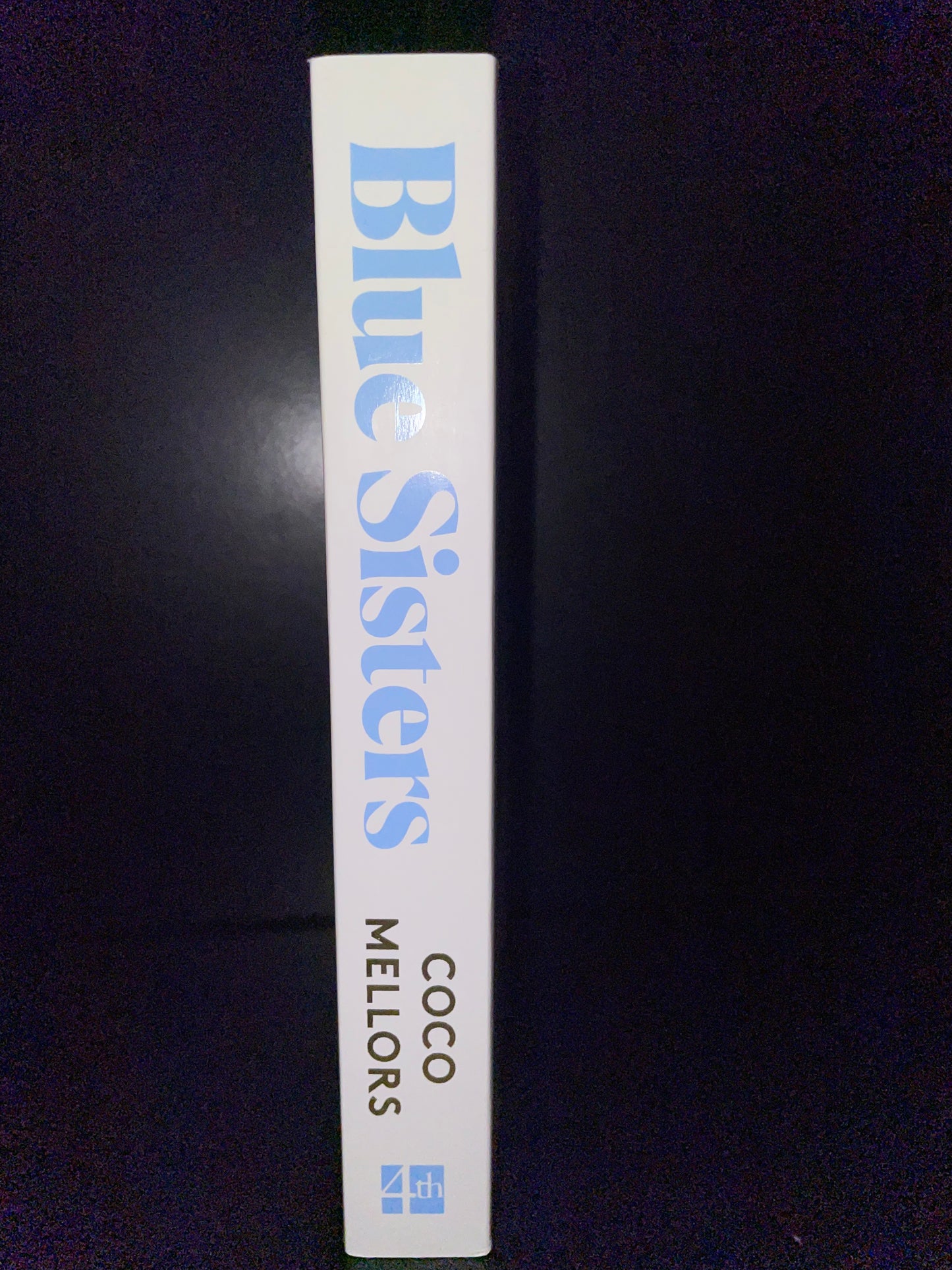 Blue Sisters by Coco Mellors
